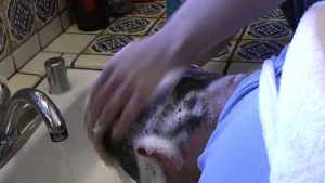 dude-wash-my-hair_3.jpg
